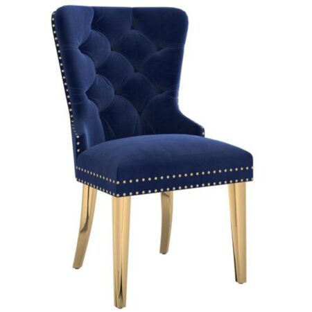 Mizal Side Chair, Set Of 2 In Navy And Gold