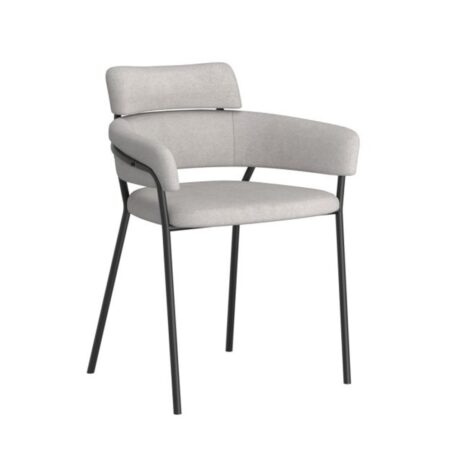 Axel Side Chair, Set Of 2 In Grey And Black