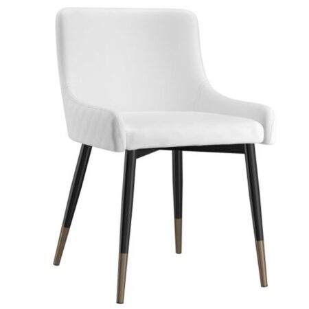 Xander Side Chair, Set Of 2 In White And Black