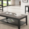 Modern Coffee Table Set - Gray & Black