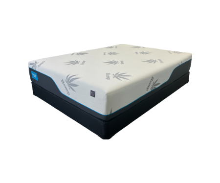 HEALTHY BEDS Rx 2